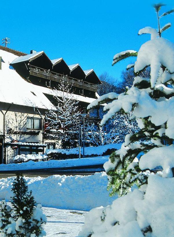 Hotel Schwarzwaldhof Enzklösterle Zewnętrze zdjęcie